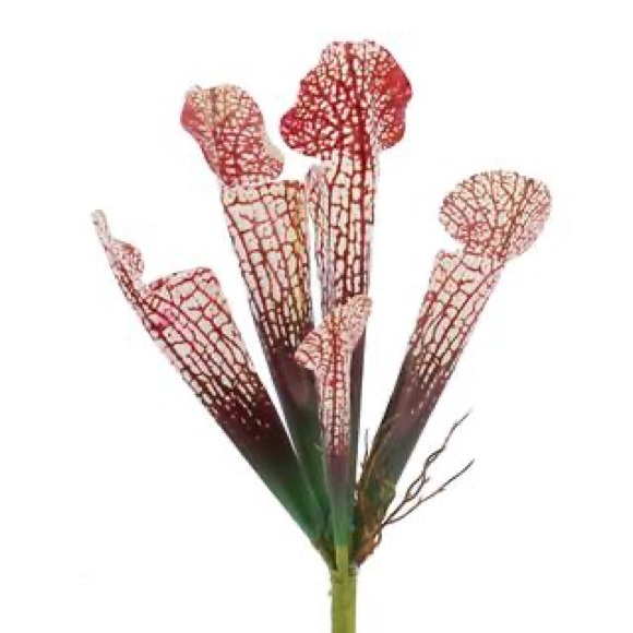 Artificial Flowers 10.5" Pink White Mushroom Pick by Ashland - Picture 2 of 2